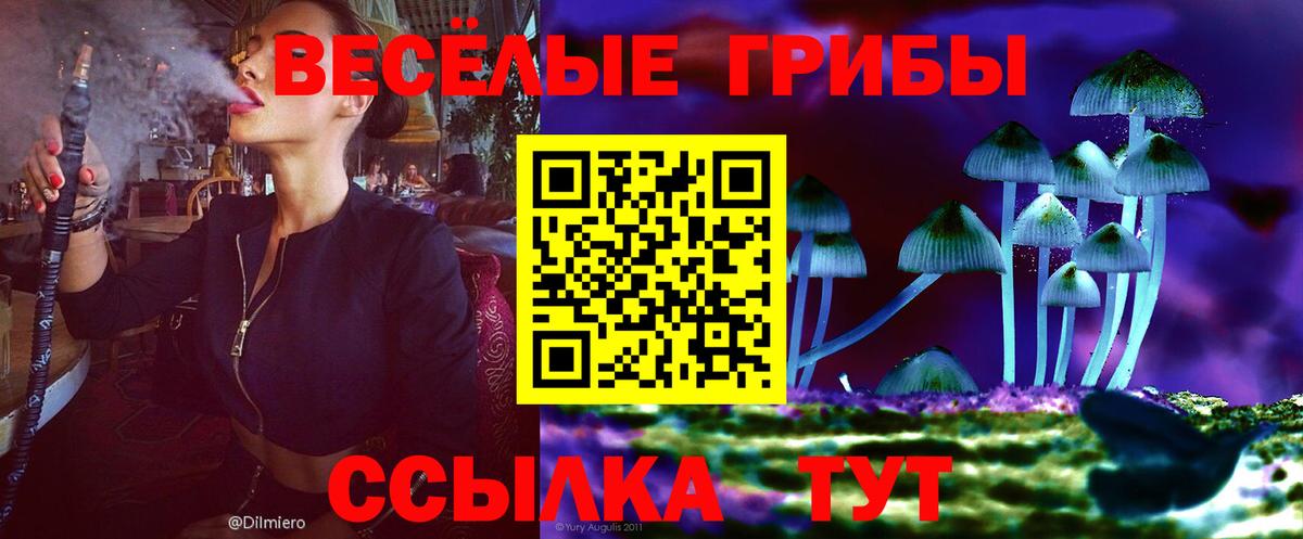 Псилоцибиновые грибы Magic Shrooms  как найти наркотики  Псилоцибиновые грибы ЛСД  Нарткала  Вход с VPN 